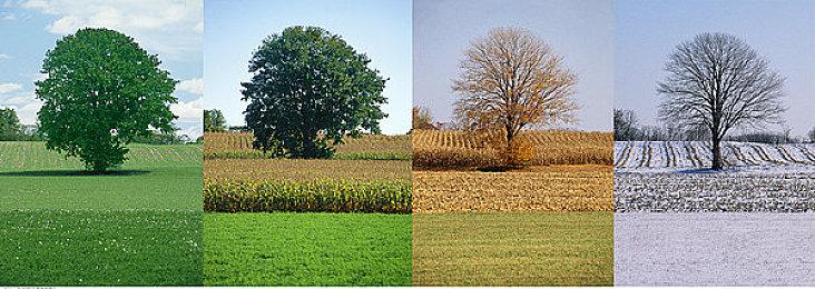 原NS独占策略RPG《三角战略》Steam版正式发售 标准版售价379元